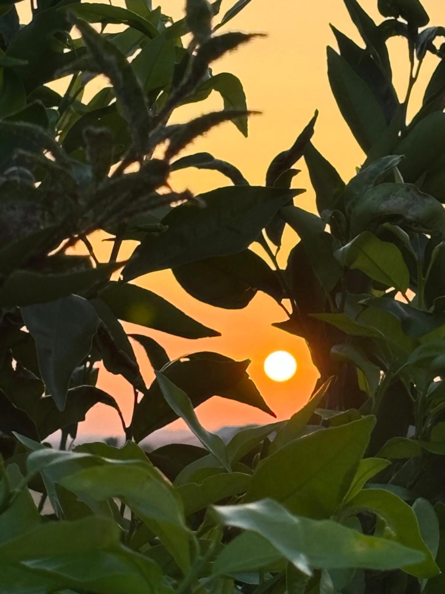 Hotel Il Tramonto Giba Zewnętrze zdjęcie